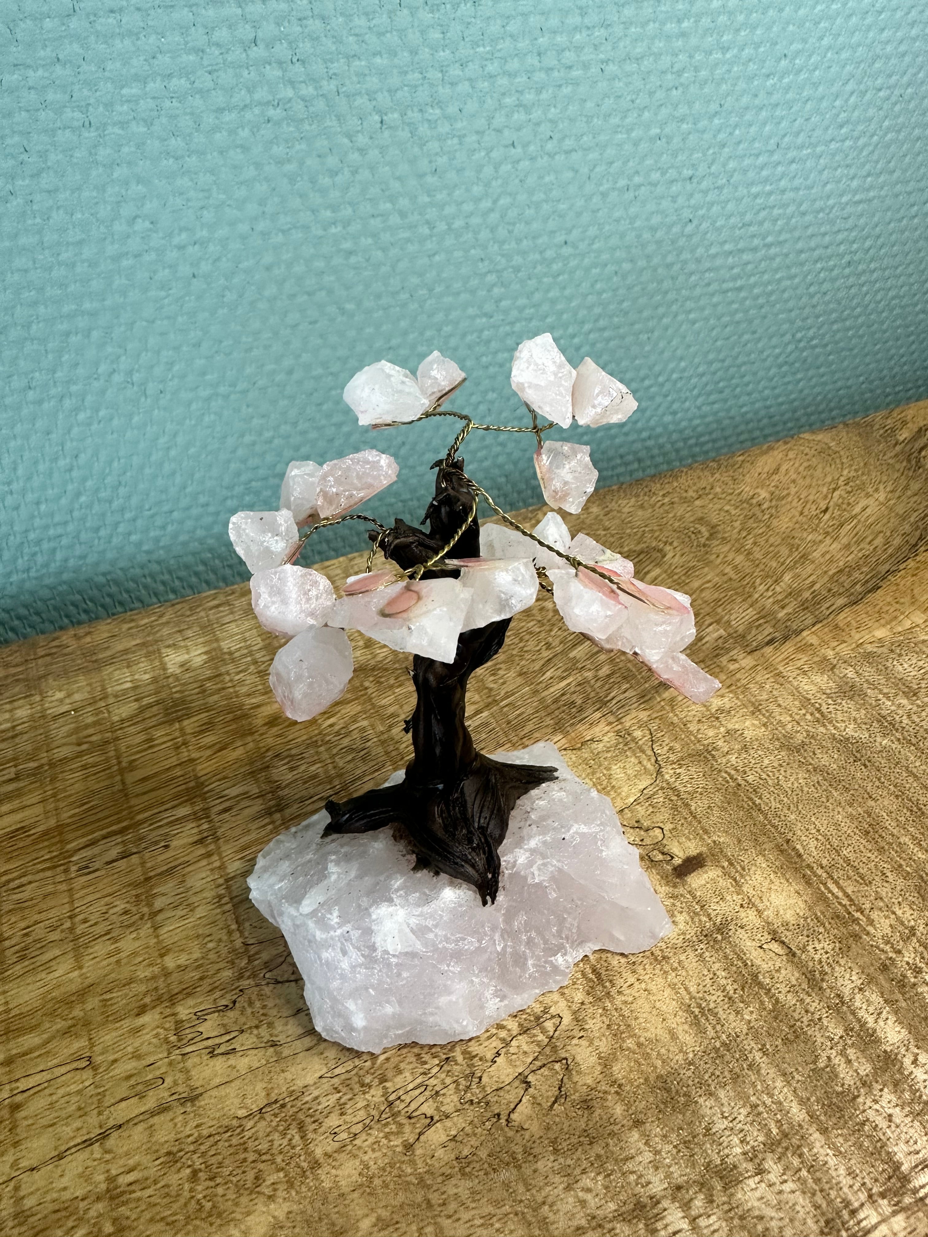 Rozenkwarts boompje
