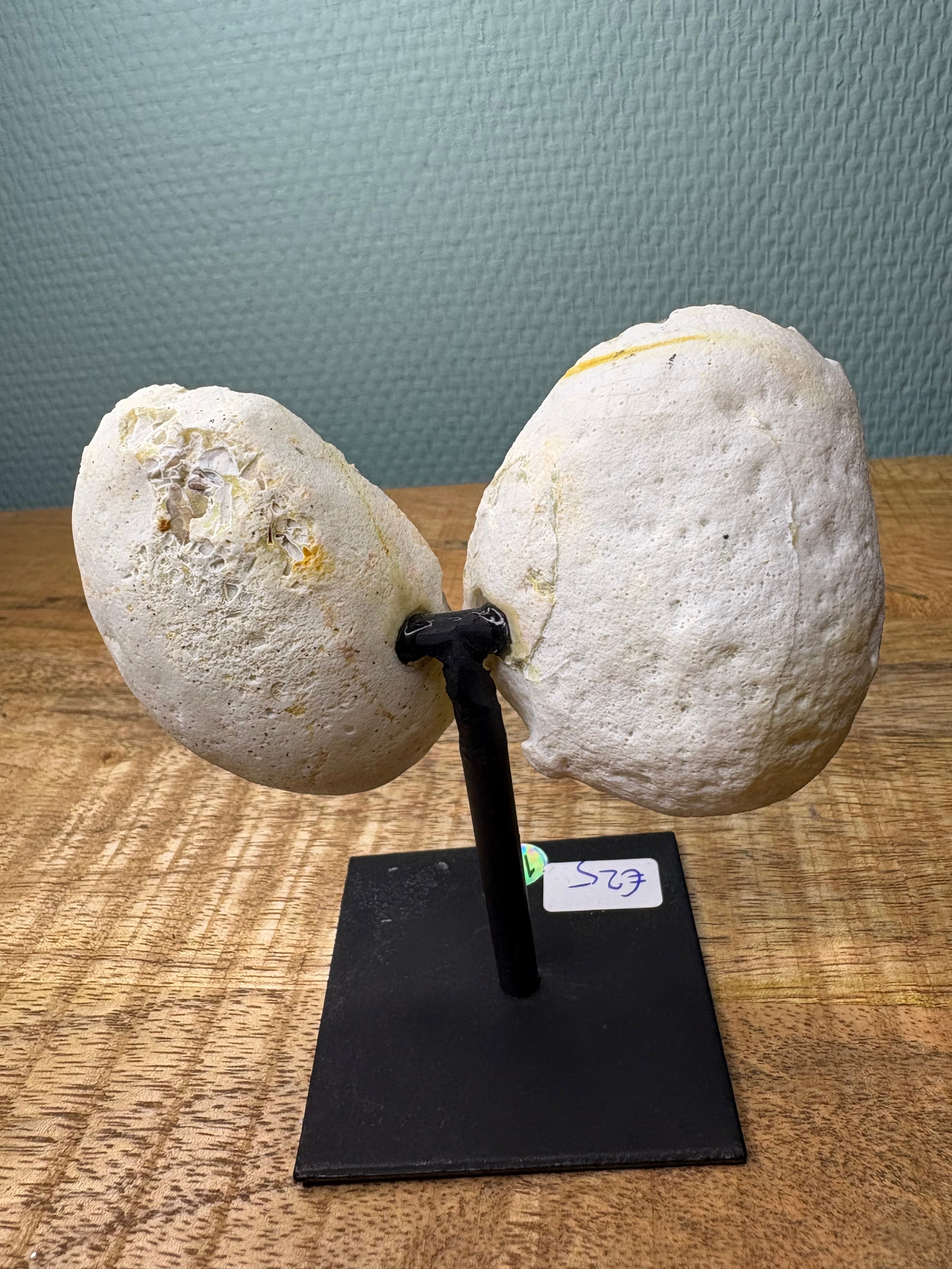 Agaat vlinder op pin