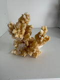 Bloemkool calciet