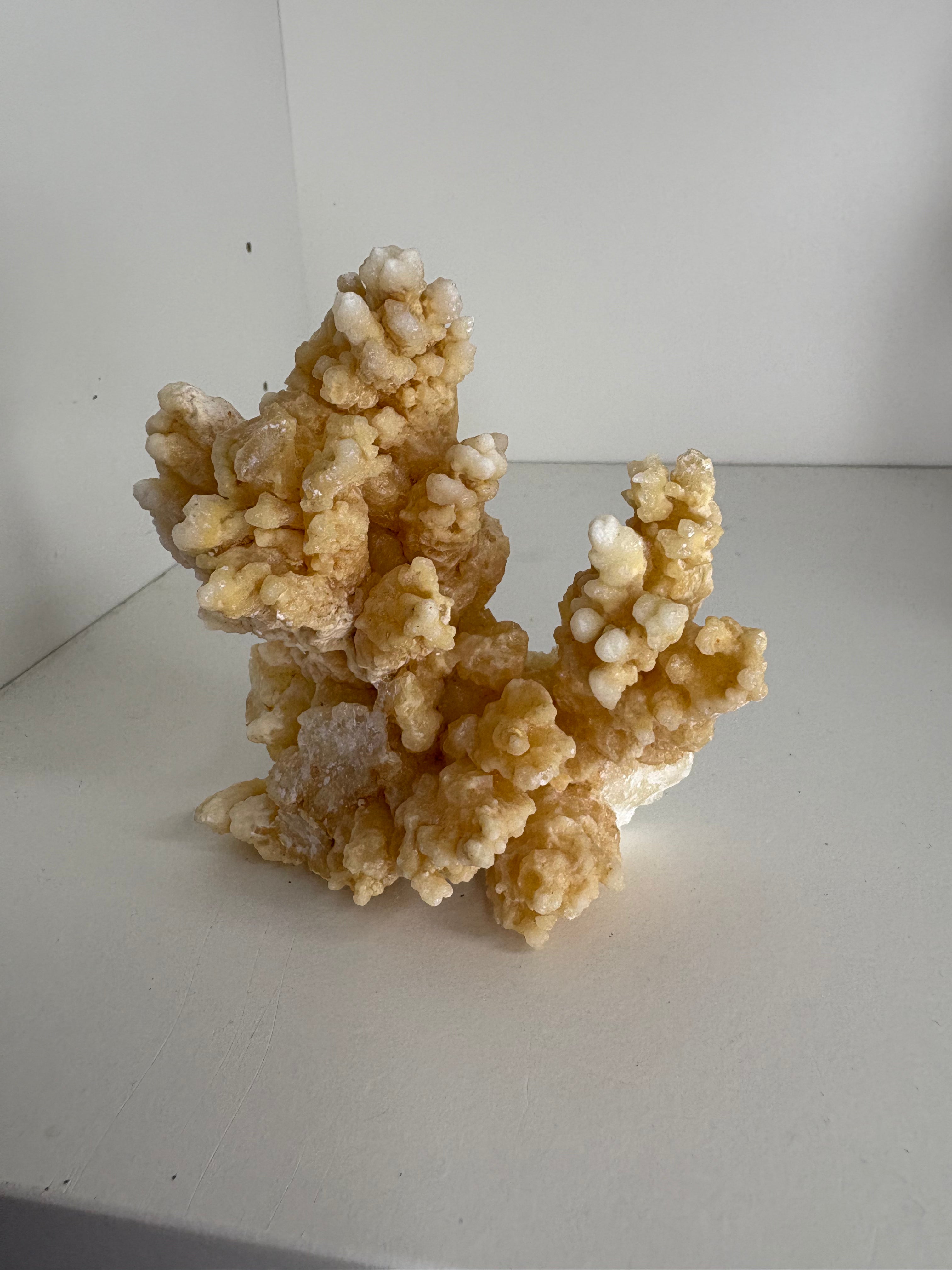 Bloemkool calciet