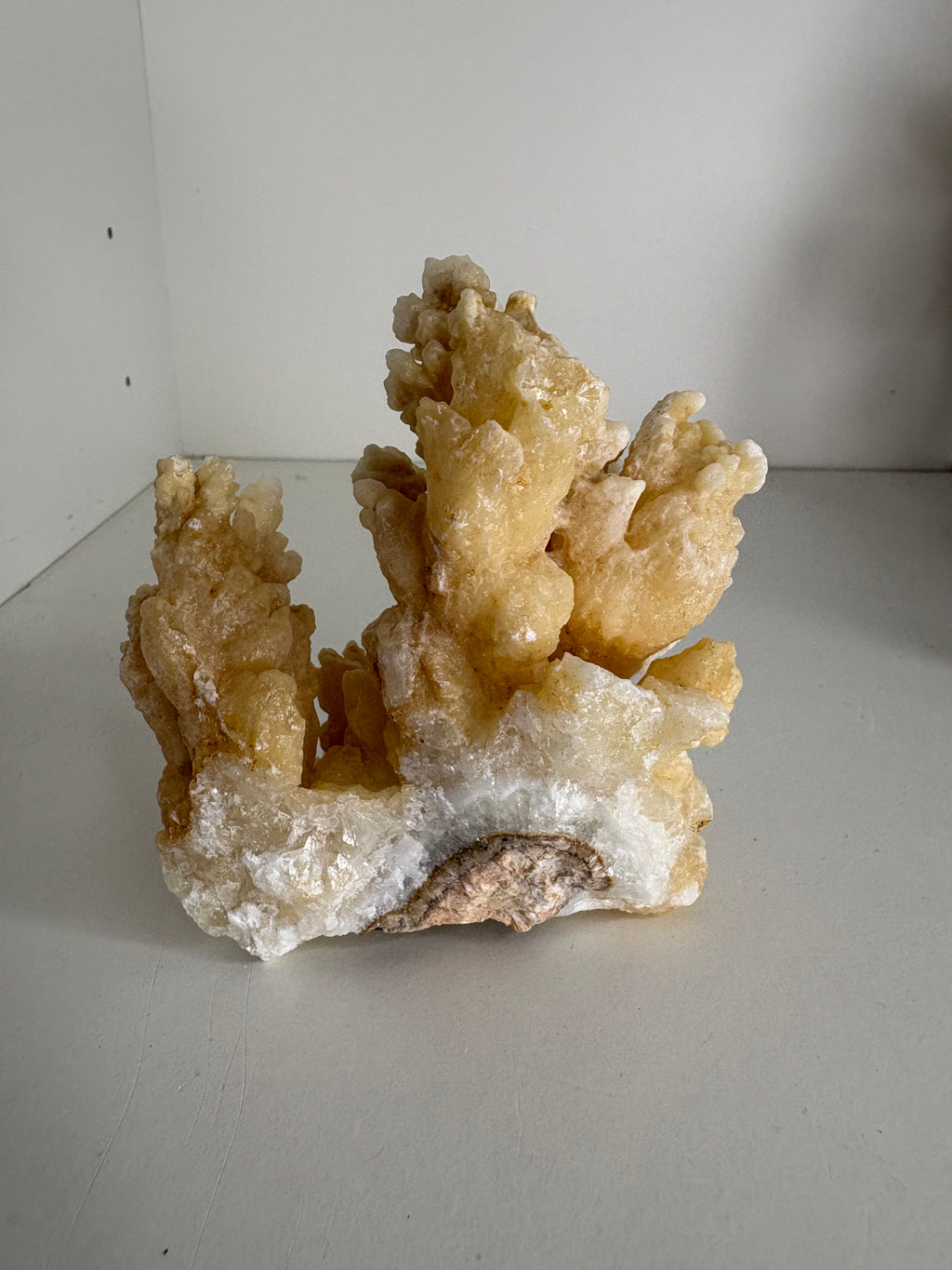 Bloemkool calciet