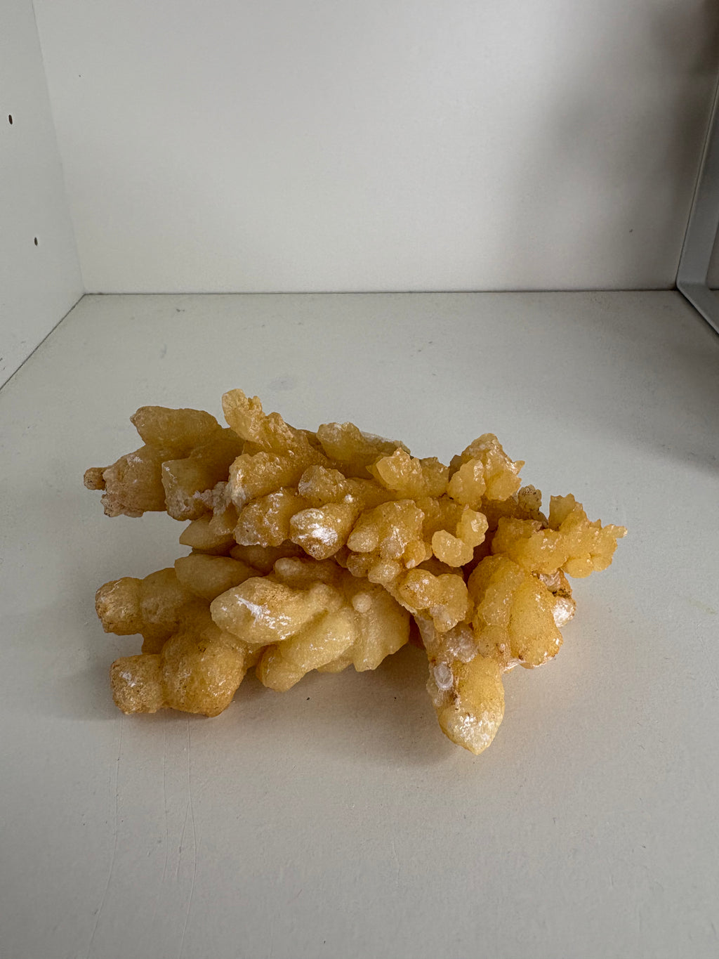 Bloemkool calciet