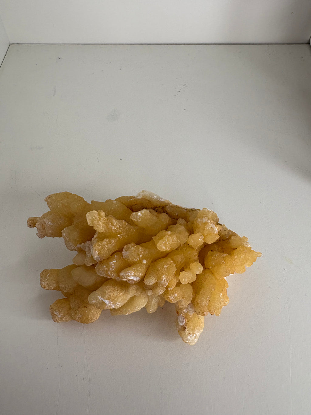 Bloemkool calciet