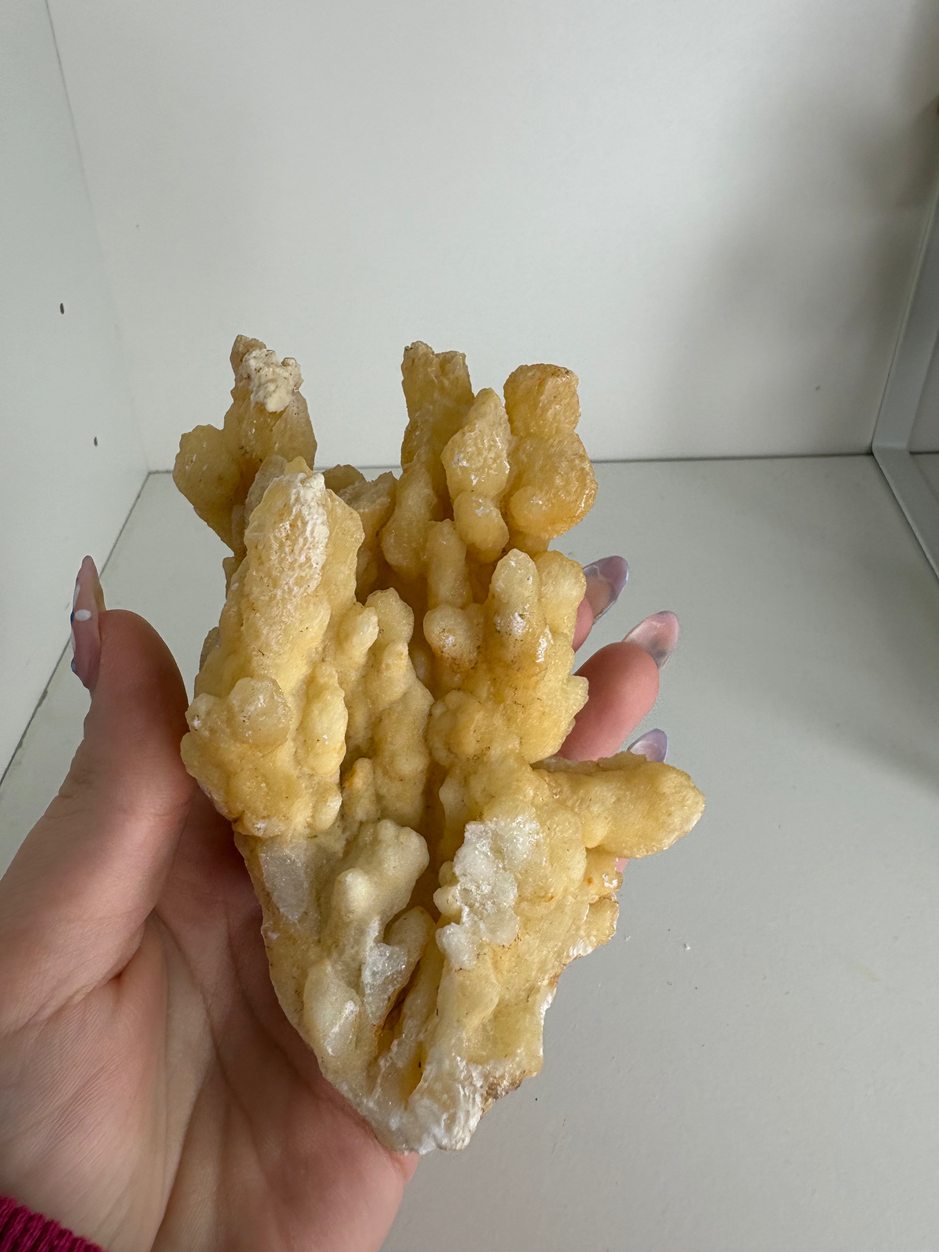 Bloemkool calciet